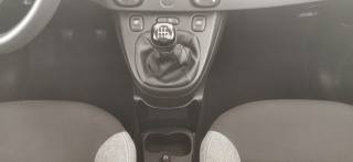 FIAT Panda usata, con USB