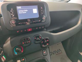 FIAT Panda usata, con Airbag testa