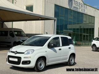 FIAT Panda usata 1