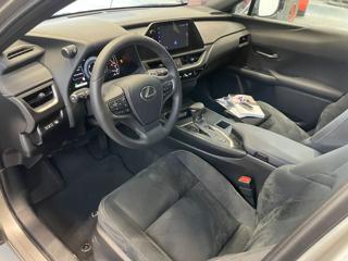 LEXUS UX 250h usata, con Fendinebbia