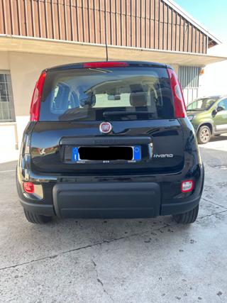 FIAT Panda usata, con Airbag testa