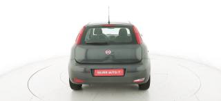 FIAT Punto usata 31