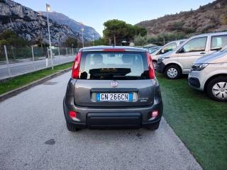 FIAT Panda usata, con Alzacristalli elettrici