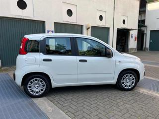 FIAT Panda usata, con Alzacristalli elettrici