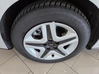 FORD Focus usata, con Chiusura centralizzata