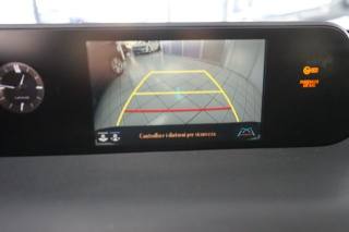 LEXUS UX 250h usata, con Cruise Control