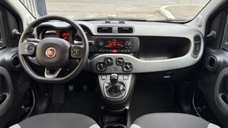FIAT Panda usata, con Alzacristalli elettrici