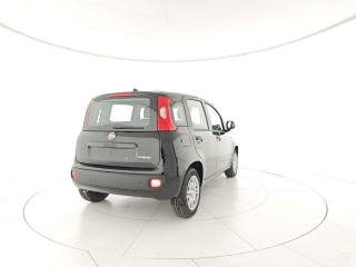 FIAT Panda usata, con Antifurto