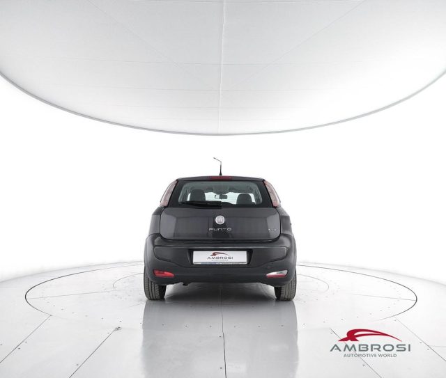 FIAT Punto usata 5