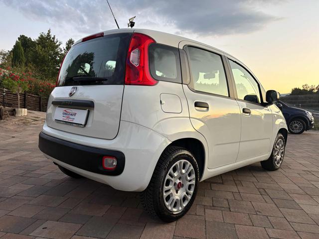 FIAT Panda usata, con Airbag Passeggero