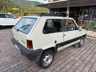 FIAT Panda usata 2