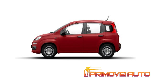 FIAT Panda usata, con Fendinebbia