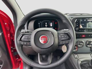 FIAT Panda usata 7
