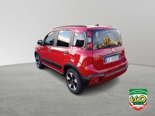 FIAT Panda Cross usata, con Controllo trazione