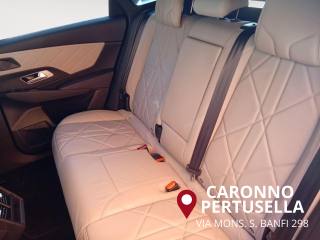 DS AUTOMOBILES DS 7 usata, con Filtro antiparticolato