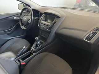 FORD Focus usata, con Cruise Control