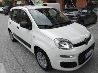 FIAT Panda usata, con Airbag Passeggero