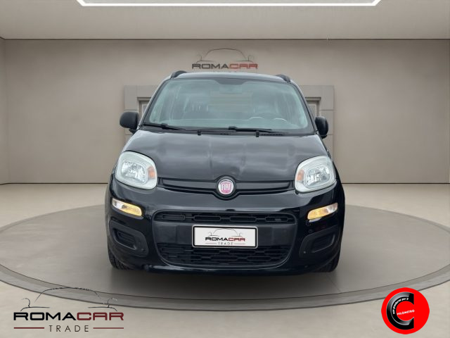 FIAT Panda usata, con Alzacristalli elettrici