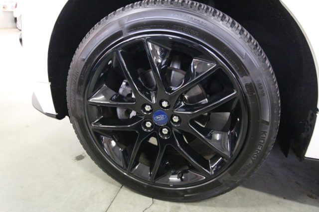 FORD Edge usata, con Servosterzo