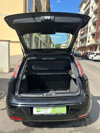 FIAT Punto Evo usata 15