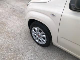 FIAT Panda usata 12
