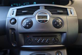 RENAULT Scenic usata 37