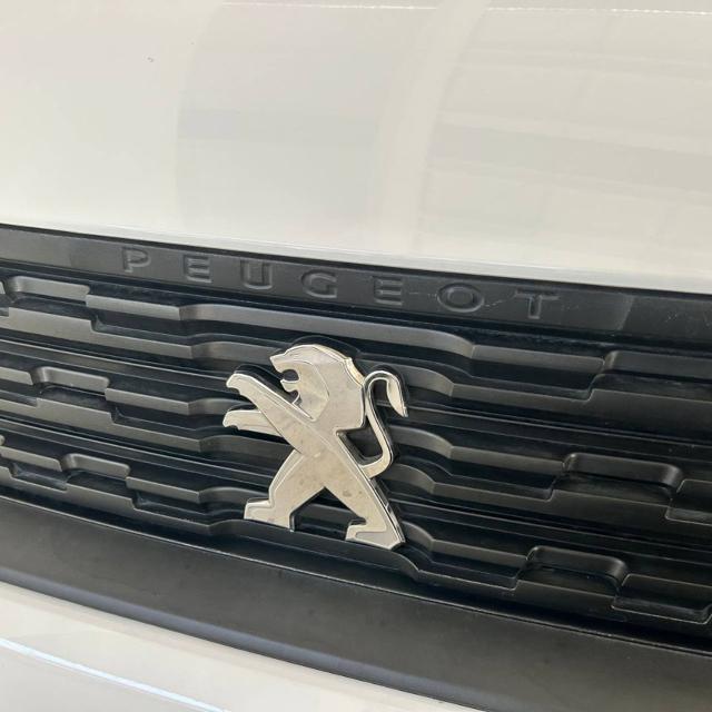 PEUGEOT Partner usata, con Sound system