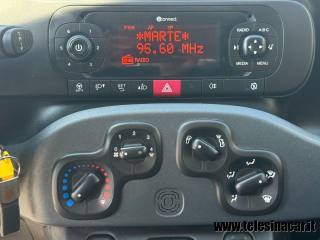 FIAT Panda usata 12