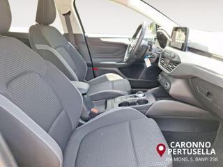 FORD Focus usata, con Fendinebbia