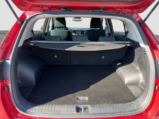 KIA Sportage usata 13