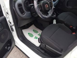 FIAT Panda Cross usata, con Fendinebbia