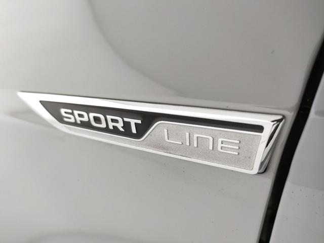 SKODA Karoq usata, con Controllo trazione