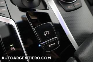 BMW 520 usata, con Controllo vocale