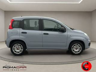 FIAT Panda usata, con Chiusura centralizzata