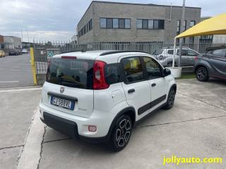 FIAT Panda usata, con Antifurto