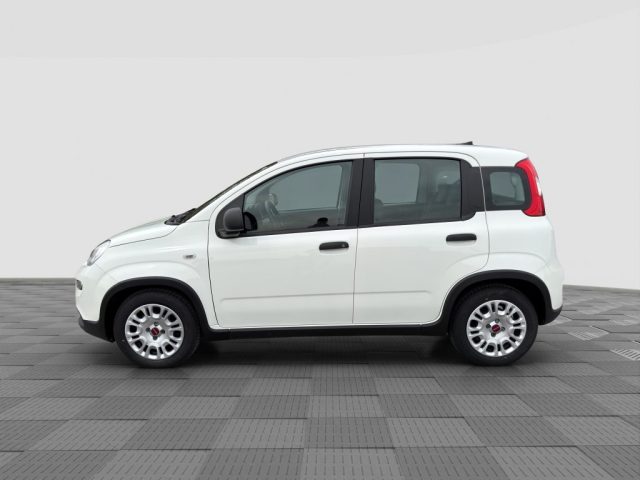 FIAT Panda usata 1