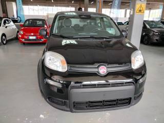 FIAT Panda usata, con Airbag Passeggero