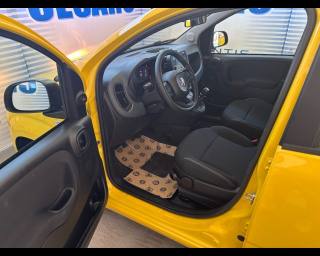 FIAT Pandina usata, con Controllo automatico clima