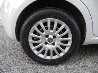 FIAT Punto usata, con Chiusura centralizzata telecomandata