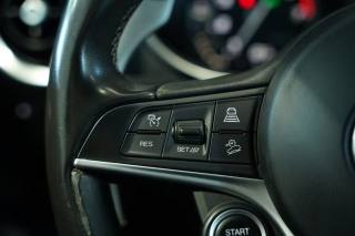 ALFA ROMEO Stelvio usata, con Controllo elettronico della corsia
