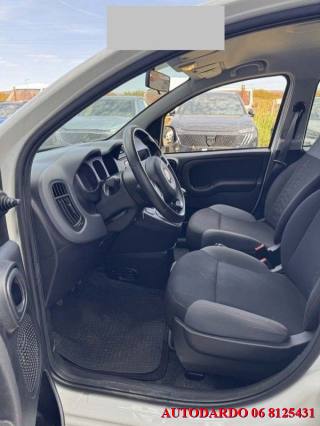 FIAT Panda usata 13