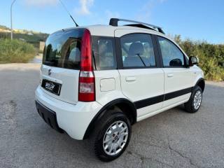 FIAT Panda usata, con Cronologia tagliandi