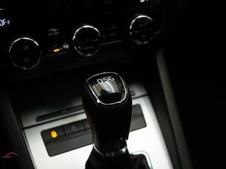 SKODA Octavia usata 42