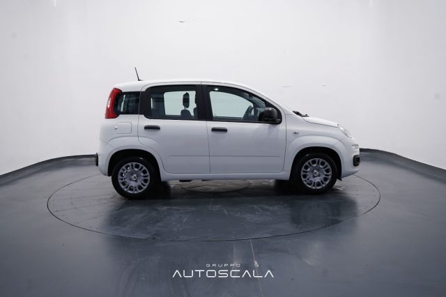FIAT New Panda usata, con Controllo trazione