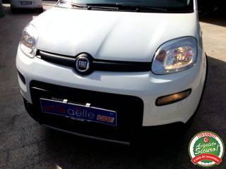 FIAT Panda usata 29