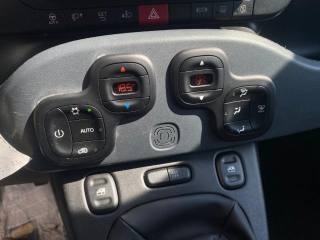 FIAT Panda Cross usata, con Airbag testa