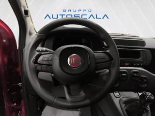 FIAT Pandina usata, con Climatizzatore