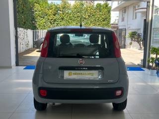 FIAT Panda usata, con Cerchi in lega