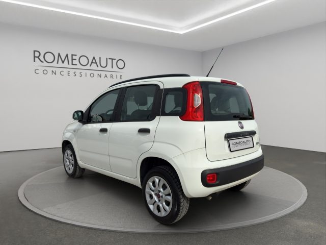 FIAT Panda usata 3