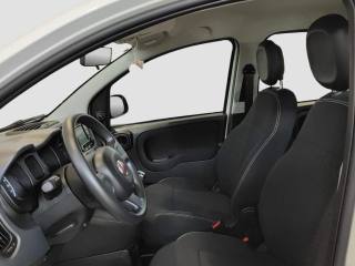 FIAT Panda usata 12